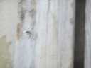 20130825_069.jpg