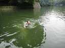 20140824camp_204.jpg